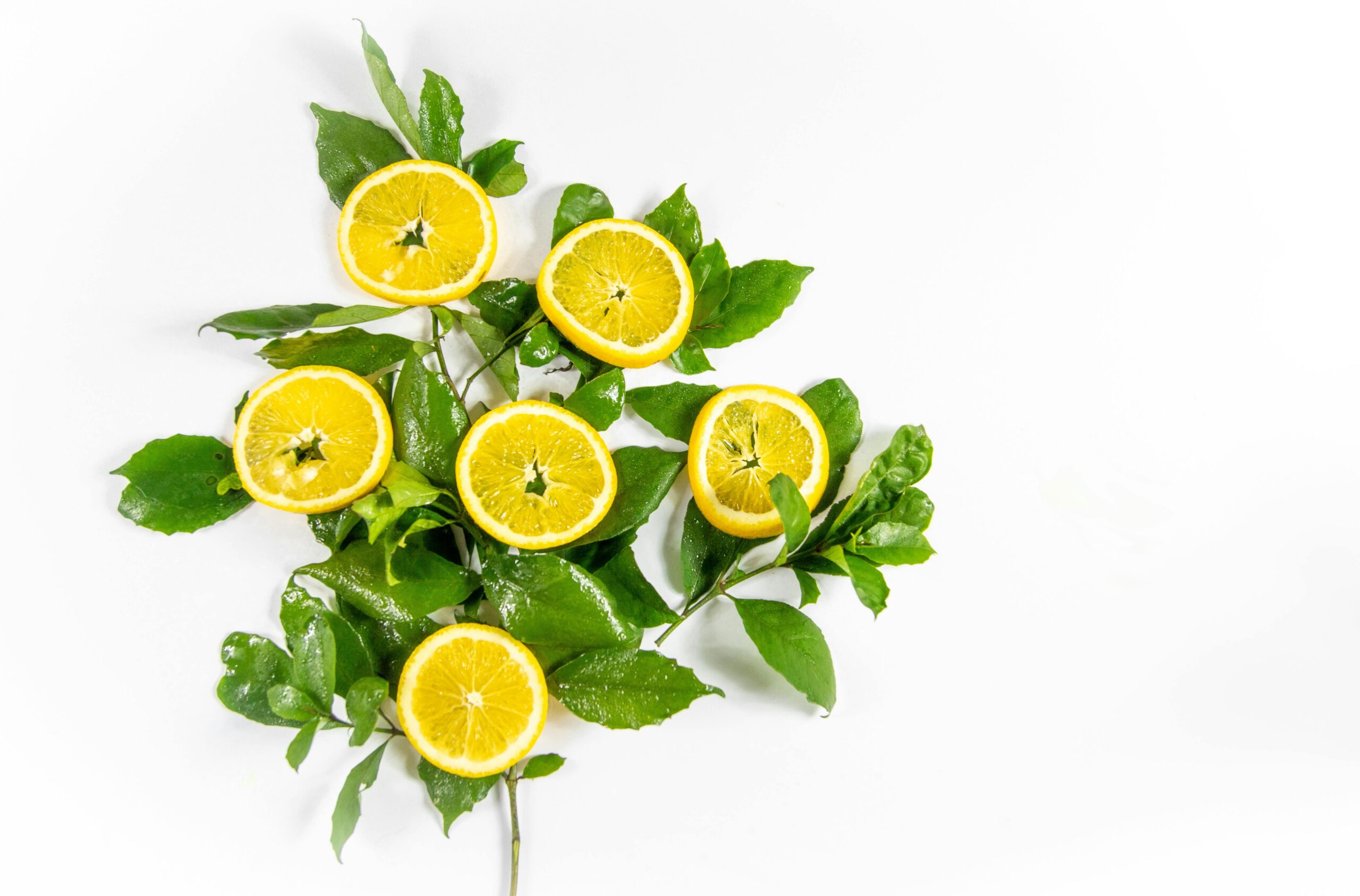 Vibrant lemon slices and green leaves arranged on a white background, perfect for fresh and natural themes.